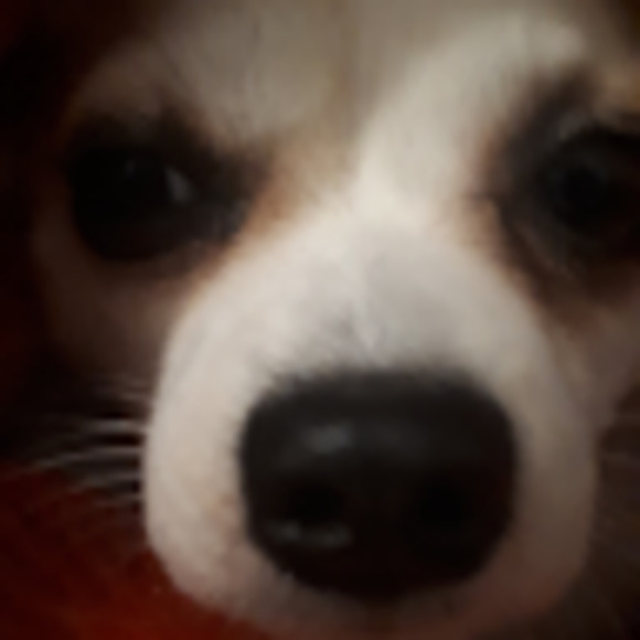 Meet your Posher, Alyssa - Picture 1 of 1